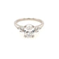 Lab Grown Oval and Marquise Diamond Engagement Ring  Gardiner Brothers   