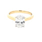 Lab grown Oval Shaped Diamond Solitaire Ring with a hidden halo - 1.58cts  Gardiner Brothers   