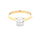Oval Shaped Diamond Solitaire Ring - 1.01cts  Gardiner Brothers   