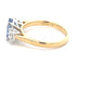 Octagonal Ceylon Sapphire and round brilliant cut diamond 3 stone ring  Gardiner Brothers   