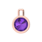 Nova pendant attachment in a plain bezel setting with round Amethyst Gardiner Brothers
