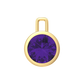 Nova pendant attachment in a plain bezel setting with round Amethyst Gardiner Brothers Yellow Gold