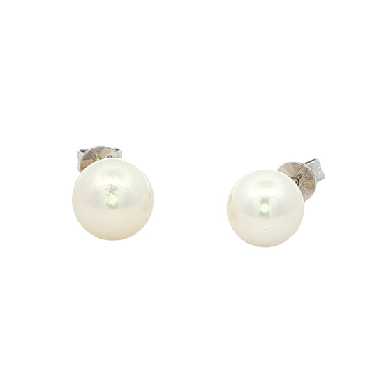 Akoya 7mm Pearl  Earrings