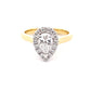 Pear Shaped Diamond Halo Style Ring - 1.20cts  Gardiner Brothers   