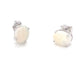 White Gold Opal Solitaire Earrings  Gardiner Brothers   