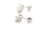 White Gold Opal Solitaire Earrings  Gardiner Brothers   