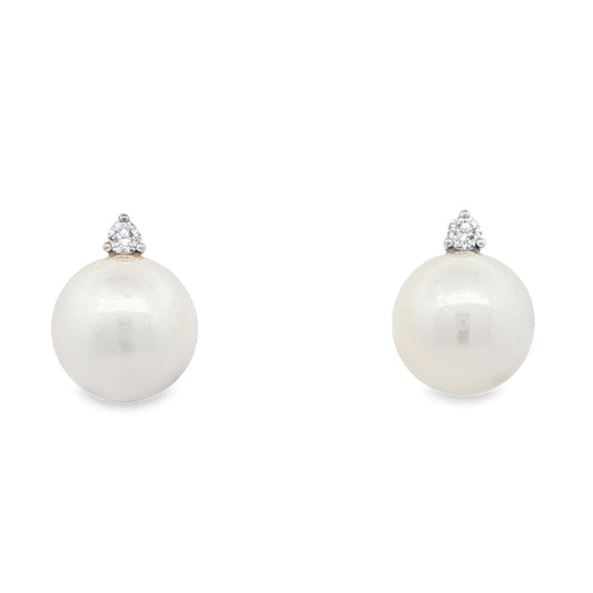 Akoya Pearl and Round Brilliant Cut Diamond Earrings Gardiner Brothers