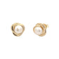 Yellow Gold Pearl Stud Earrings Gardiner Brothers