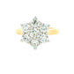 Round brilliant cut diamond 7 stone cluster style ring - 2.02cts Gardiner Brothers