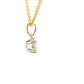 Round brilliant cut diamond solitaire pendant - 0.60cts Gardiner Brothers