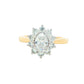 Yellow Gold Oval shaped diamond and 10 round brilliant cut diamond cluster style ring - 1.40ct Gardiner Brothers