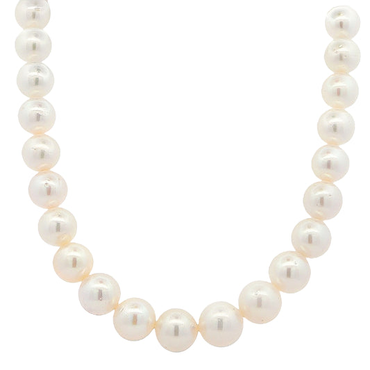 South Sea Pearl String Necklace : 9-11mm
