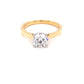Round Brilliant Cut Diamond Solitaire Ring - 1.20cts  Gardiner Brothers   