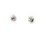 Oval Shaped Diamond Halo Style Earrings  Gardiner Brothers   