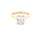 Lab Grown Oval Shaped Diamond Solitaire Ring - 2.00cts Gardiner Brothers